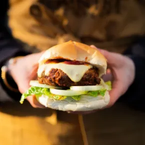 Picture for category BBQ